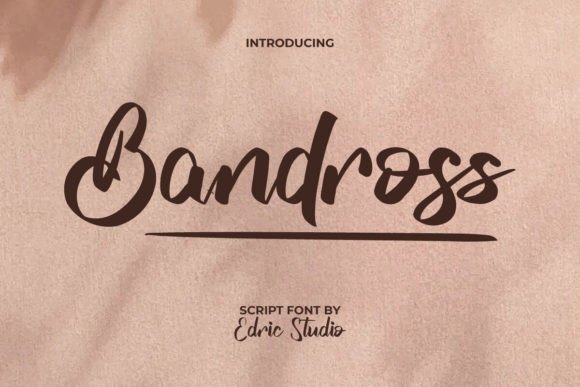 Bandross: A Bold Script Font for Creative Campaigns