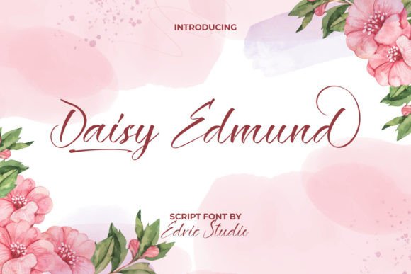 Daisy Edmund Font for Professional Branding